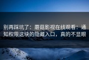 别再踩坑了：蘑菇影视在线观看：通知权限这块的隐藏入口，真的不显眼
