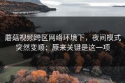 蘑菇视频跨区网络环境下，夜间模式突然变顺：原来关键是这一项