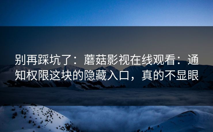 别再踩坑了:蘑菇影视在线观看:通知权限这块的隐藏入口,真的不显眼 别再踩坑了:蘑菇影视在线观看:通知权限这块的隐藏入口,真的不显眼
