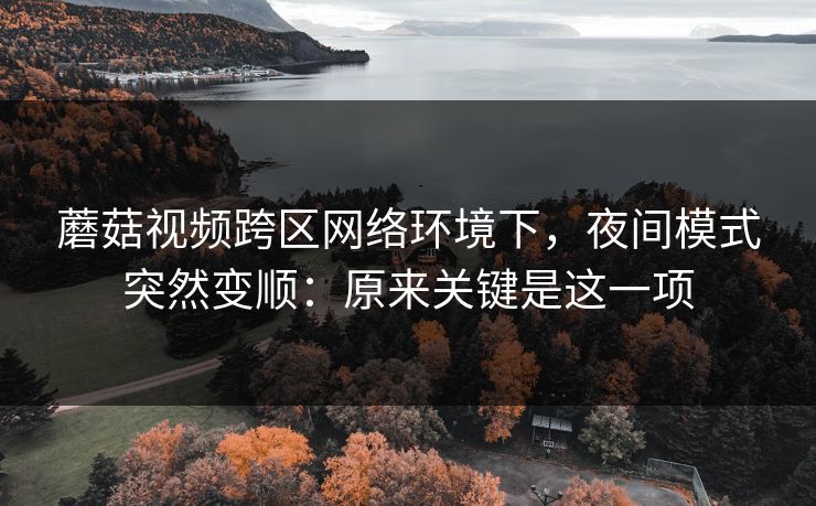 蘑菇视频跨区网络环境下,夜间模式突然变顺:原来关键是这一项 蘑菇视频跨区网络环境下,夜间模式突然变顺:原来关键是这一项