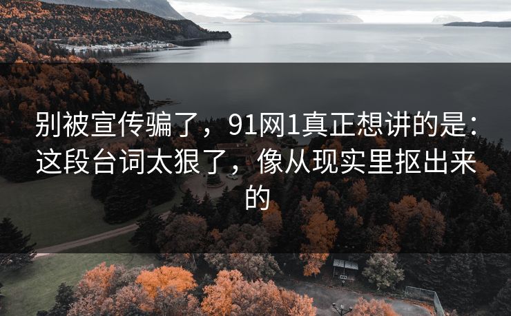 别被宣传骗了，91网1真正想讲的是：这段台词太狠了，像从现实里抠出来的