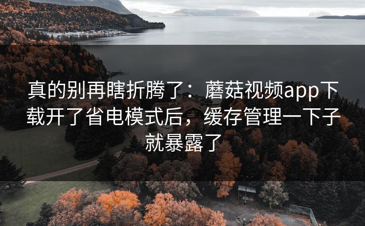 真的别再瞎折腾了：蘑菇视频app下载开了省电模式后，缓存管理一下子就暴露了
