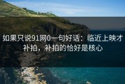 如果只说91网0一句好话：临近上映才补拍，补拍的恰好是核心