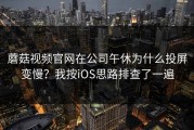 蘑菇视频官网在公司午休为什么投屏变慢？我按iOS思路排查了一遍