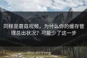 同样是蘑菇视频，为什么你的缓存管理总出状况？可能少了这一步