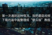 第一次遇到这种情况，我把蘑菇视频下载的画中画整理成“傻瓜版”教程