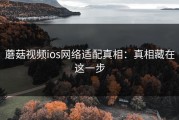 蘑菇视频ios网络适配真相：真相藏在这一步