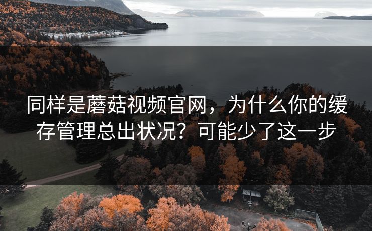 同样是蘑菇视频官网，为什么你的缓存管理总出状况？可能少了这一步