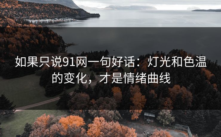 如果只说91网一句好话：灯光和色温的变化，才是情绪曲线