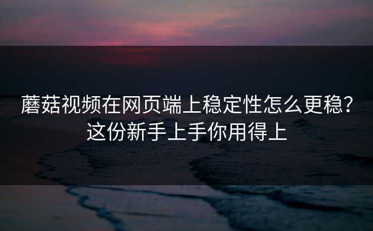 蘑菇视频在网页端上稳定性怎么更稳？这份新手上手你用得上