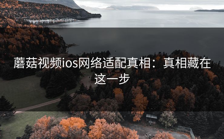 蘑菇视频ios网络适配真相：真相藏在这一步