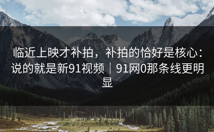 临近上映才补拍，补拍的恰好是核心：说的就是新91视频｜91网0那条线更明显