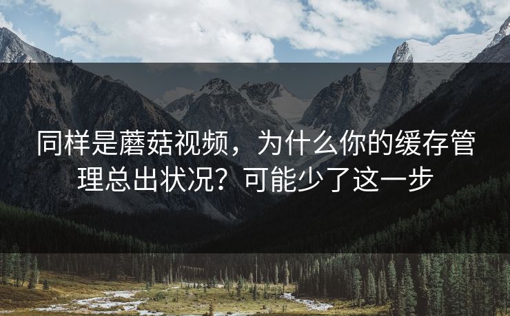同样是蘑菇视频，为什么你的缓存管理总出状况？可能少了这一步