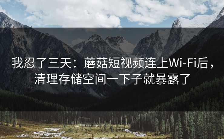 我忍了三天：蘑菇短视频连上Wi‑Fi后，清理存储空间一下子就暴露了