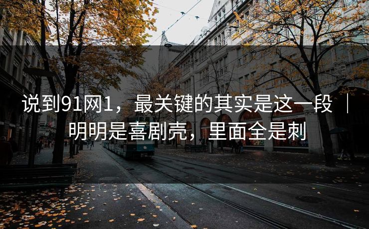 说到91网1，最关键的其实是这一段 ｜ 明明是喜剧壳，里面全是刺