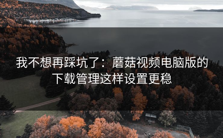 我不想再踩坑了：蘑菇视频电脑版的下载管理这样设置更稳