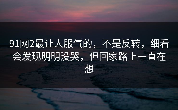 91网2最让人服气的，不是反转，细看会发现明明没哭，但回家路上一直在想