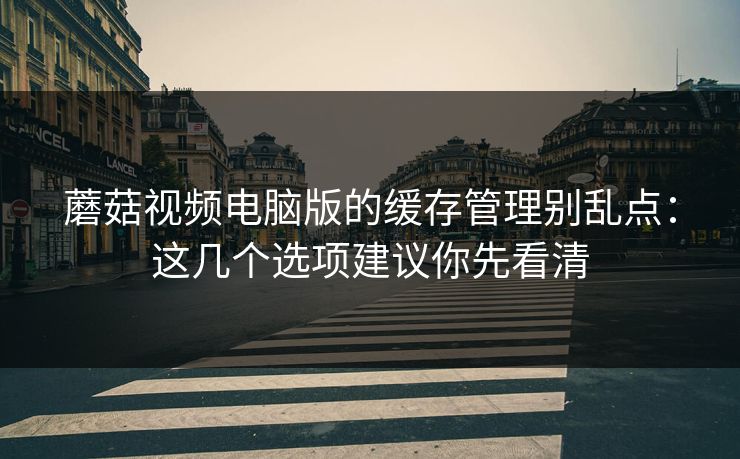 蘑菇视频电脑版的缓存管理别乱点：这几个选项建议你先看清