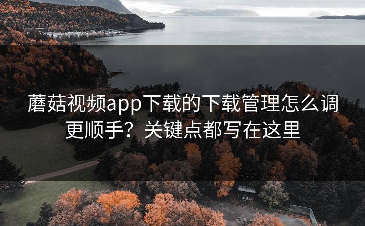 蘑菇视频app下载的下载管理怎么调更顺手?关键点都写在这里 蘑菇视频app下载的下载管理怎么调更顺手?关键点都写在这里