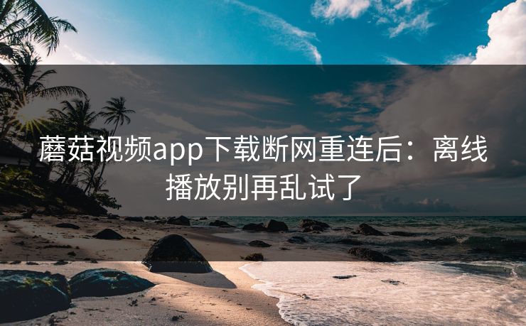 蘑菇视频app下载断网重连后：离线播放别再乱试了